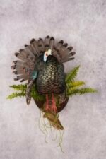 turkey taxidermy mounts